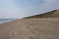 2008 Cape Cod